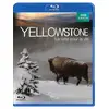 Image de Yellowstone, la lutte pour la vie
