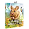 Image de La Vie secrète des animaux du village