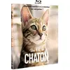 Image de Une vie de chaton - Blu-ray