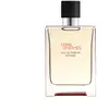 Image de Parfum HermÃ¨s Terre D'hermÃ¨s Eau De Parfum Intense 100ml