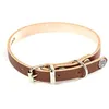 Image de Collier Pour Chien En Cuir Martin Sellier 31/62 Cm Mixte Marron