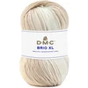 Image de Fil à tricoter Brio XL 100 g 421