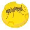 Image de LUCIFER ANTIFOURMIS BOITE 10GRS 199