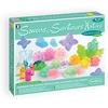 Image de Kit Cosmétique Savons & Senteurs Nature