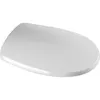 Image de Abattant wc dÃ©clipsable en ABS - Spot classique DUBOURGEL