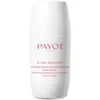Image de Payot - DÃ©odorant Roll-On Anti-Transpirant 24hsans-Alcool Roll-On Anti-Transpirant 24h Sans Alcool 75 Ml