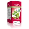 Image de Arkopharma Bacopa 45 GÃ©lules