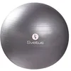 Image de Gymball + BoÃ®te Sveltus 65cm