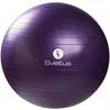Image de Gymball + boîte Sveltus 75cm Violet TU 0445
