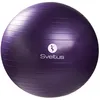 Image de Gymball + BoÃ®te Sveltus 75cm