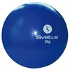Image de Balle LestÃ©e Sveltus 2kg
