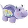 Image de Vtech Hippo Dodo Nuit Etoilee