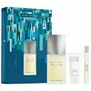 Image de Eau De Parfum Femme Issey Miyake L'eau D'issey Pour Homme 125ml