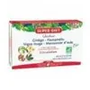 Image de Quatuor Vigne Rouge Circulation Bio 20 Amp