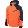 Image de Blouson Peak Mountain  Blouson de ski homme CALIS P23509328