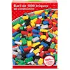 Image de Pack 1000 briques