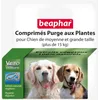 Image de ComprimÃ©s De Purge Aux Plantes Vetonature 50 ComprimÃ©s Pour Chiot Et Petit Chien