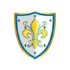 Image de Panoplies En Mousse Bouclier Fleur De Lys
