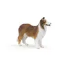 Image de CHIENS ET CHATS Colley