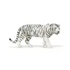 Image de LA VIE SAUVAGE Tigre blanc