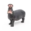 Image de LA VIE SAUVAGE Hippopotame