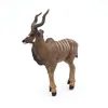 Image de LA VIE SAUVAGE Antilope koudou