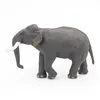 Image de LA VIE SAUVAGE ElÃ©phant d'Asie