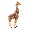 Image de LA VIE SAUVAGE Girafe mÃ¢le