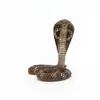 Image de LA VIE SAUVAGE Cobra royal