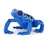 Image de LA VIE SAUVAGE Grenouille Ã©quatoriale bleue