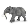 Image de LA VIE SAUVAGE ElÃ©phant d'Afrique