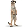 Image de LA VIE SAUVAGE Suricate debout
