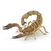 Image de LA VIE SAUVAGE Scorpion
