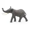Image de LA VIE SAUVAGE ElÃ©phant