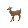 Image de LA VIE SAUVAGE Biche de Virginie