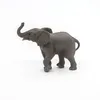 Image de LA VIE SAUVAGE Jeune Ã©lÃ©phant
