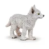 Image de LA VIE SAUVAGE Jeune loup polaire