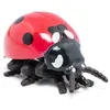 Image de LA VIE SAUVAGE Coccinelle
