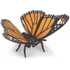 Image de LA VIE SAUVAGE Papillon
