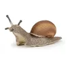 Image de LA VIE SAUVAGE Escargot