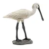 Image de La Vie Sauvage Spatule