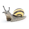 Image de La Vie Sauvage Escargot Des Bois