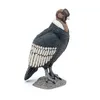 Image de La Vie Sauvage Condor