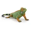 Image de La Vie Sauvage Iguane