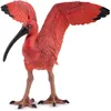 Image de La Vie Sauvage Ibis Rouge