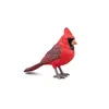 Image de Les Animaux Des Jardins Cardinal Rouge