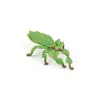 Image de Les Animaux Des Jardins Phasme Feuille