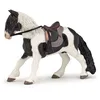 Image de CHEVAUX, POULAINS ET PONEYS Poney avec selle