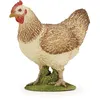 Image de LA VIE A LA FERME Poule rousse