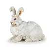 Image de LA VIE A LA FERME Lapin Angora